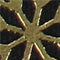 French Snow Stars Wired