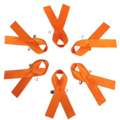 Awareness Ribbon-Orange | Cherry Ribbon